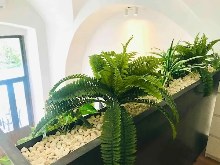Oli-Oli House City Center, Two Adjacent House X11 People,Double Kitchen, Courtyard, Catania